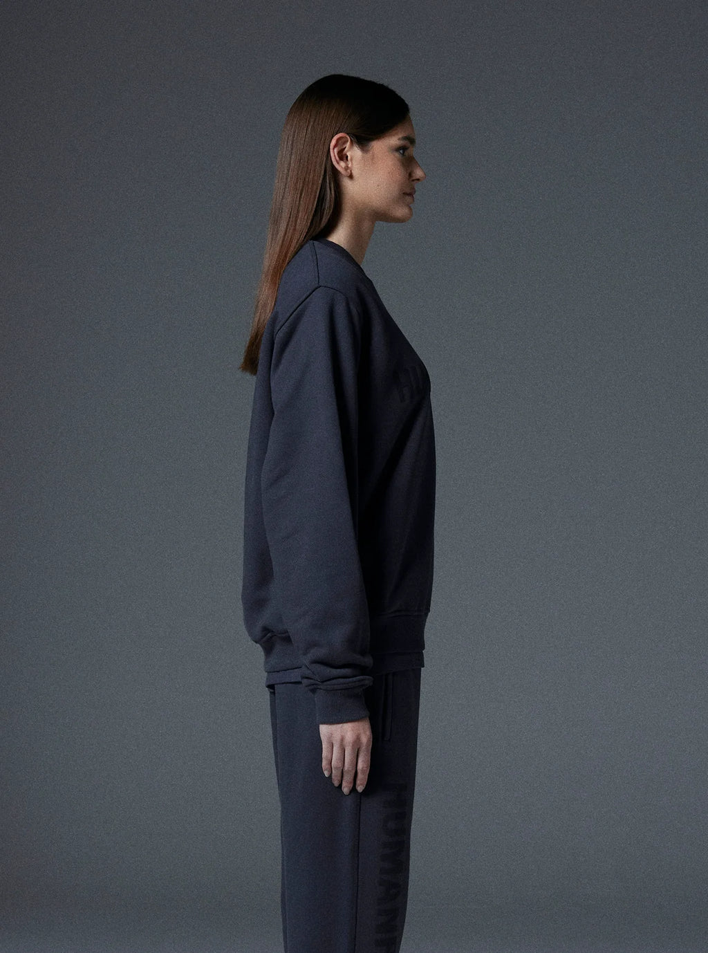 Planet Crewneck in Dusty Grey